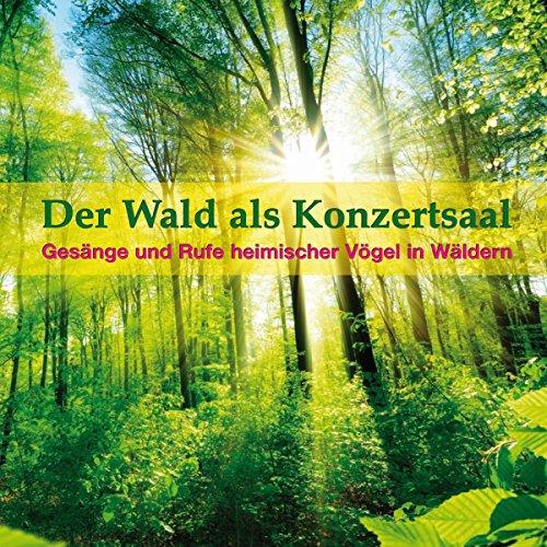 Der Wald als Konzertsaal