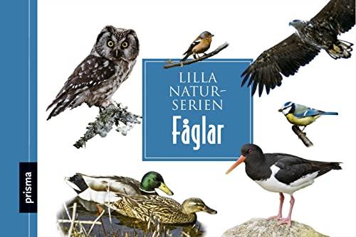 Fåglar (Lilla naturserien)