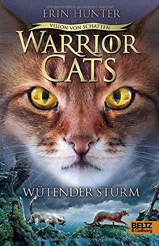 Warrior Cats - Vision von Schatten. Wütender Sturm: Staffel VI, Band 6