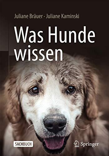 Was Hunde wissen