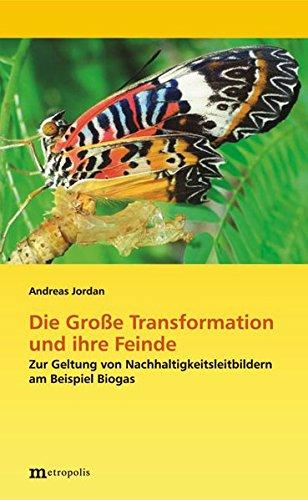 Die Große Transformation und ihre Feinde: Zur Geltung von Nachhaltigkeitsleitbildern am Beispiel Biogas (Ökologie und Wirtschaftsforschung)