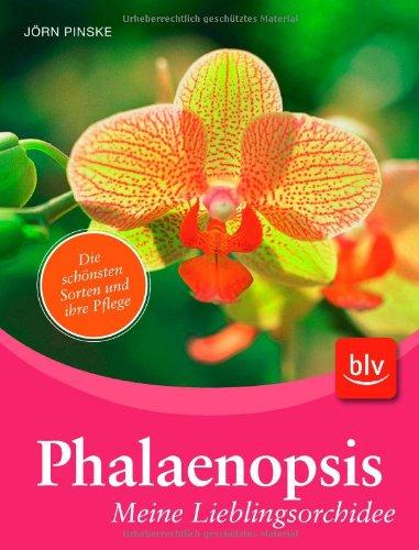 Phalaenopsis - meine Lieblingsorchidee: Die schönsten Sorten und ihre Pflege